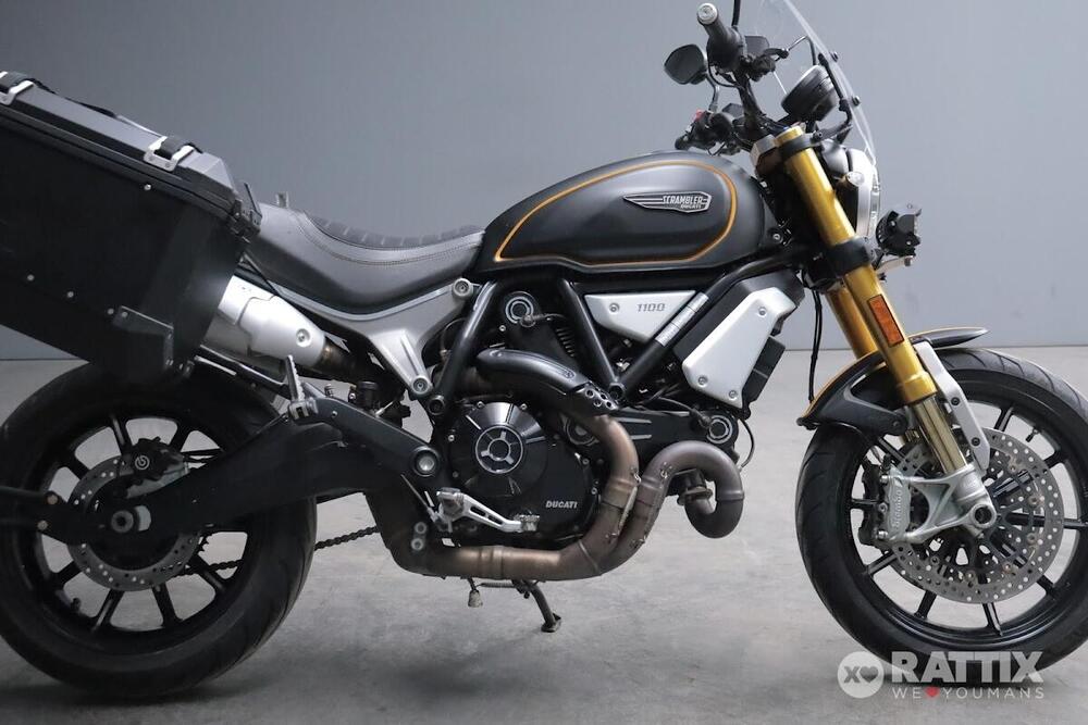 Ducati Scrambler 1100 (2018 - 20) (8)