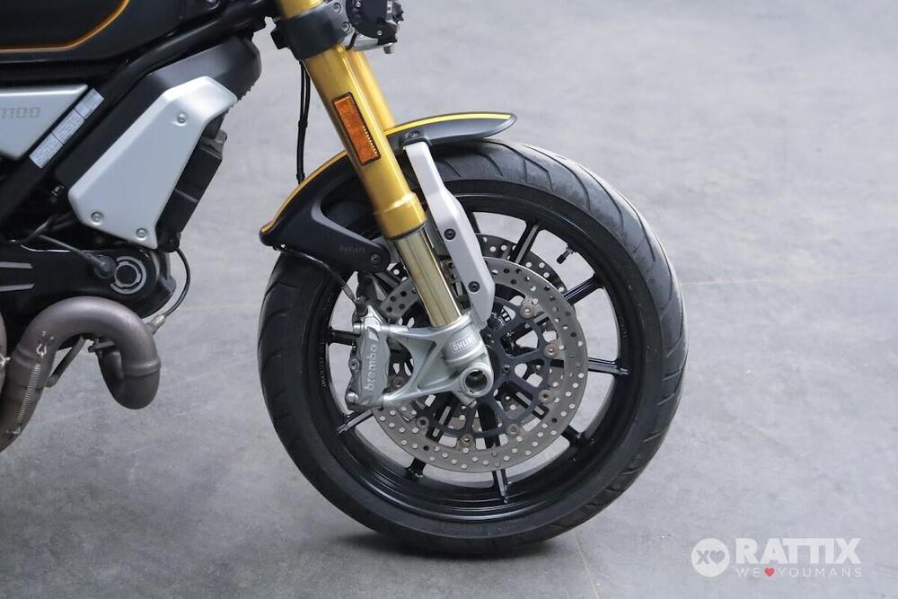 Ducati Scrambler 1100 (2018 - 20) (9)