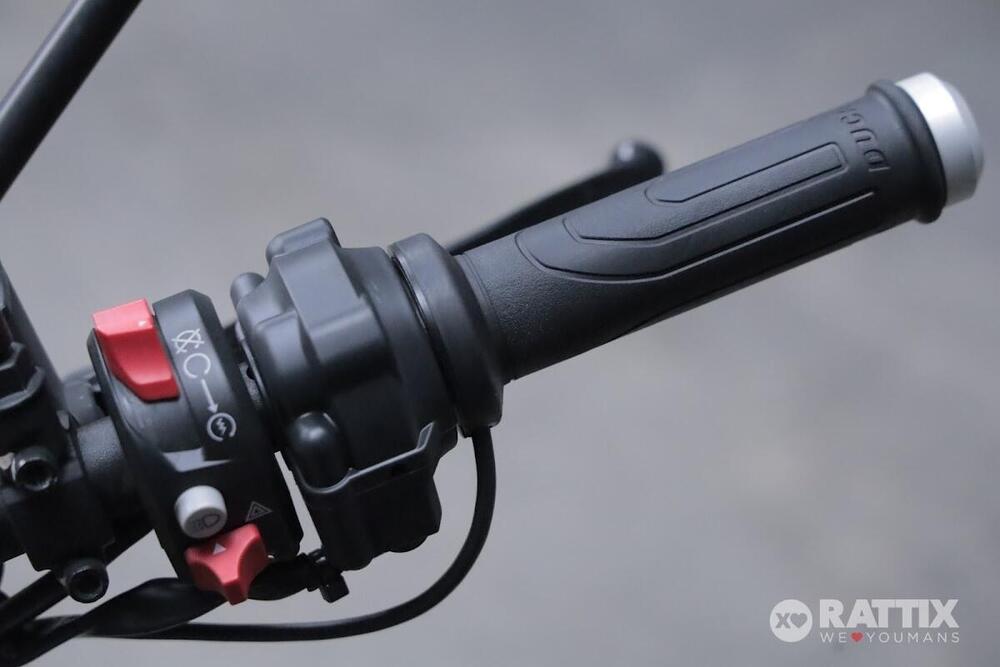 Ducati Scrambler 1100 (2018 - 20) (12)