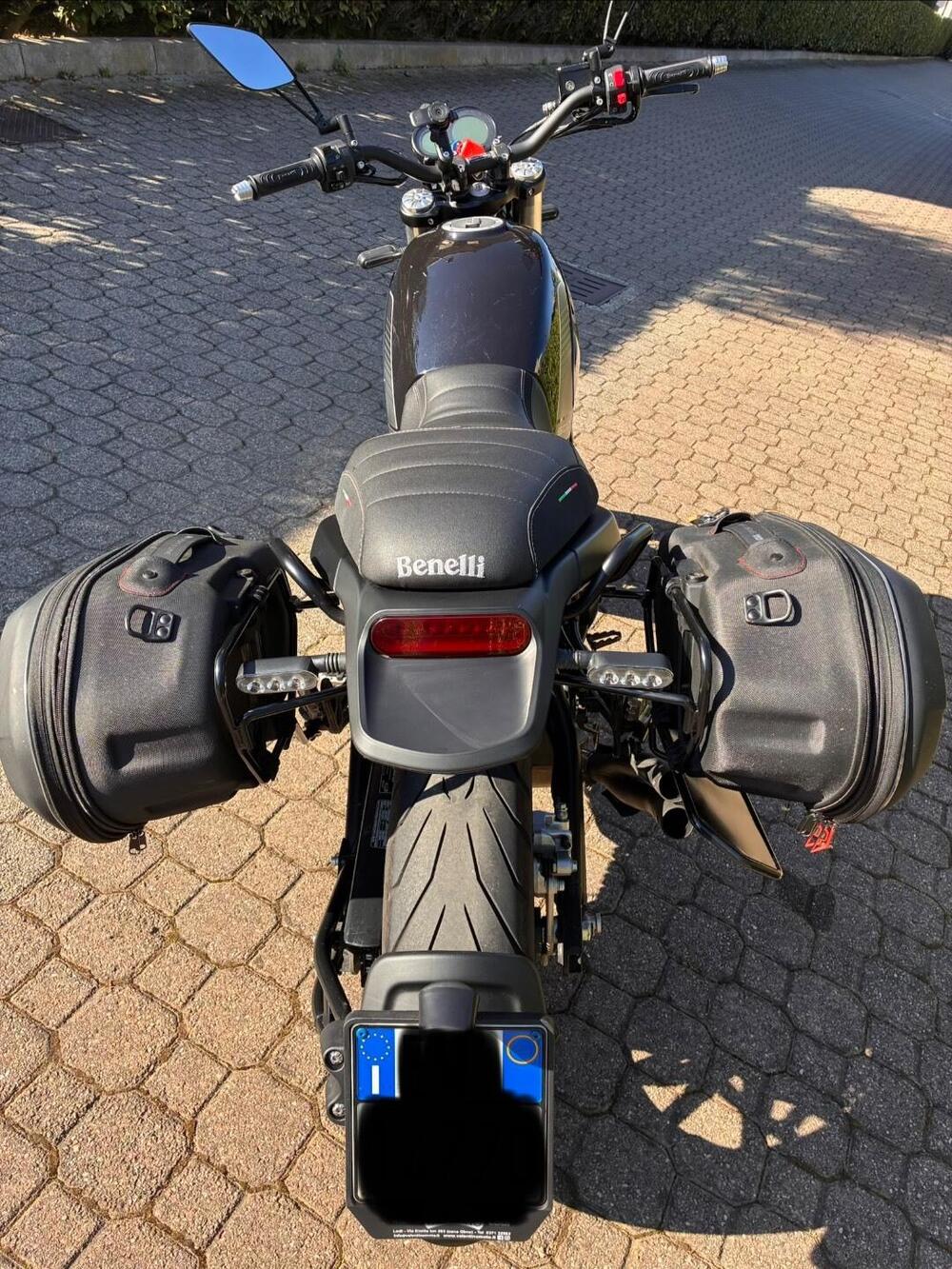 Benelli Leoncino 500 (2021 - 25) (6)