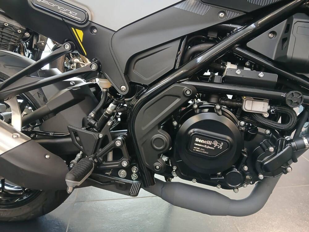 Benelli Leoncino 250 (2021 - 25) (8)