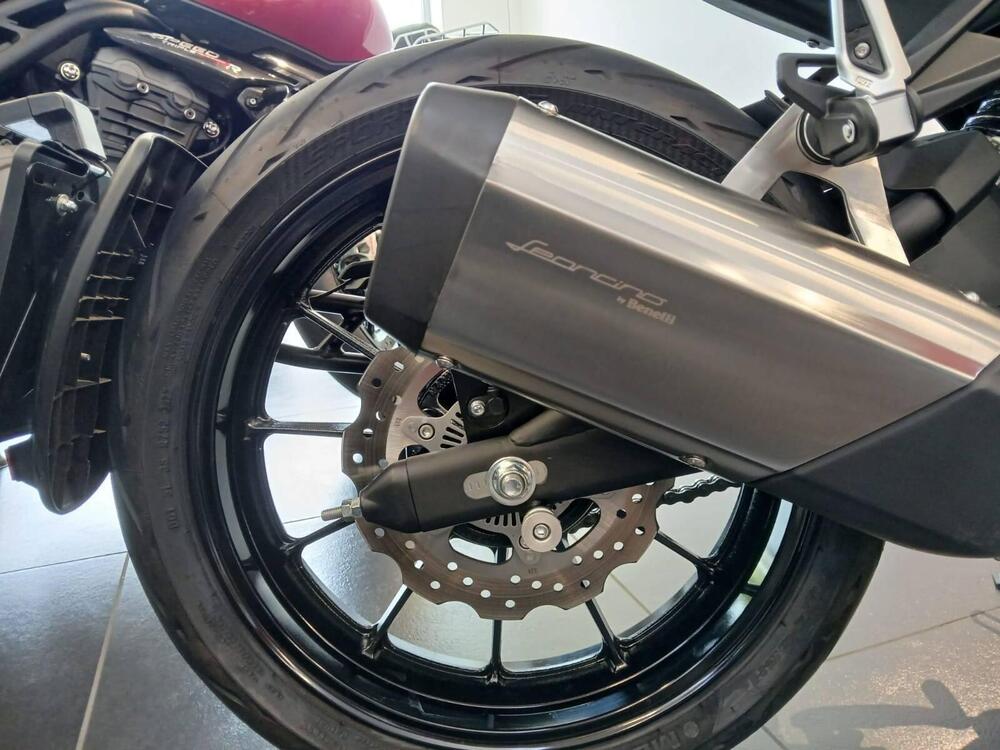 Benelli Leoncino 250 (2021 - 25) (9)