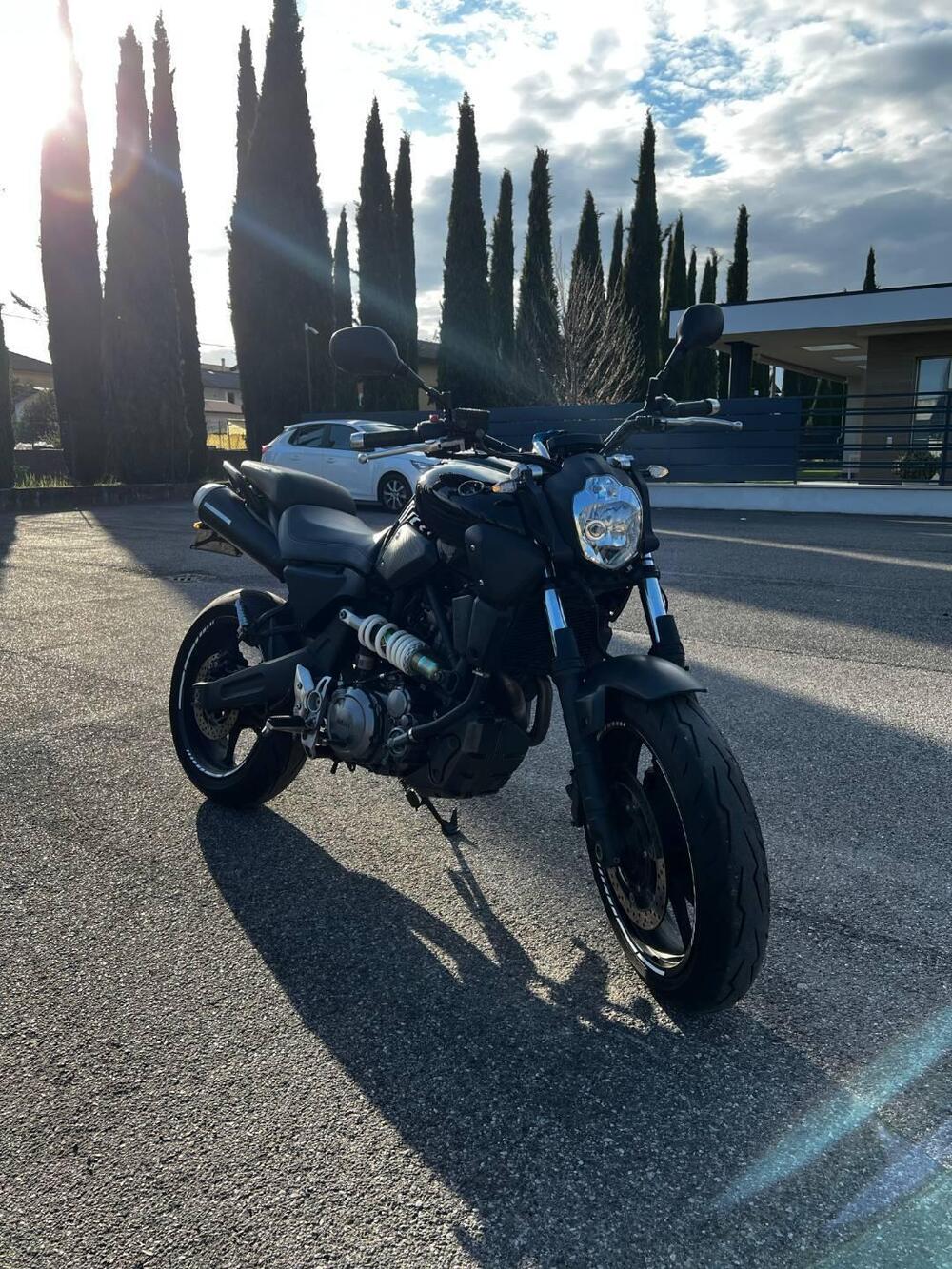 Yamaha MT-03 (2006 - 14) (3)