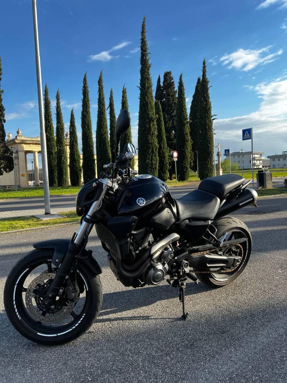 Yamaha MT-03 (2006 - 14) (4)