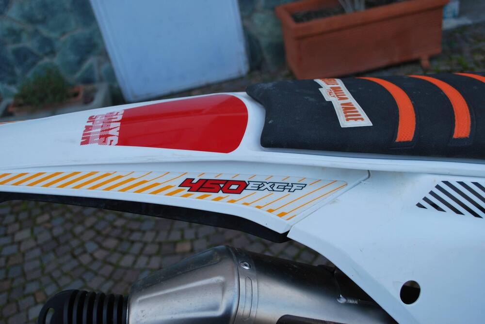 KTM 450 EXC-F Six Days (2017) (12)