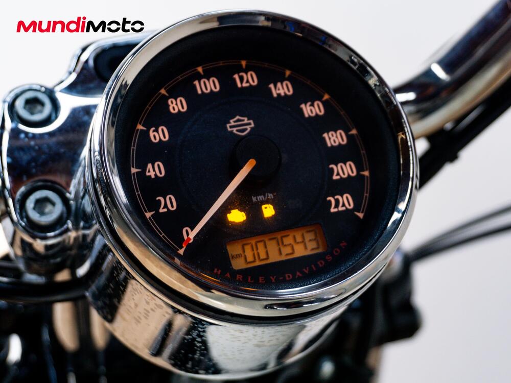 Harley-Davidson XL 1200 CX Roadster (2016 - 18) (10)