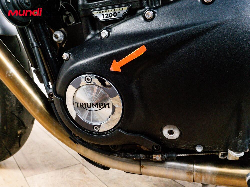 Triumph Speed Twin 1200 (2025 - 26) (13)
