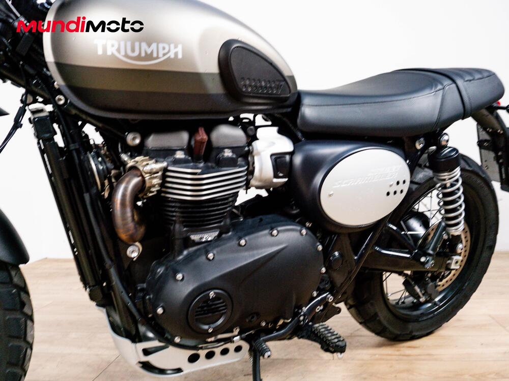 Triumph Street Scrambler 900 Sandstorm (2021 - 22) (9)