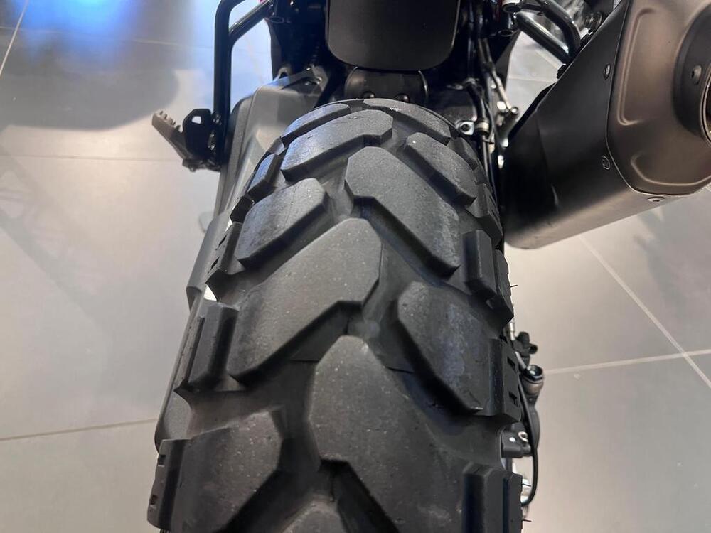 Ducati DesertX (2022 - 25) (14)