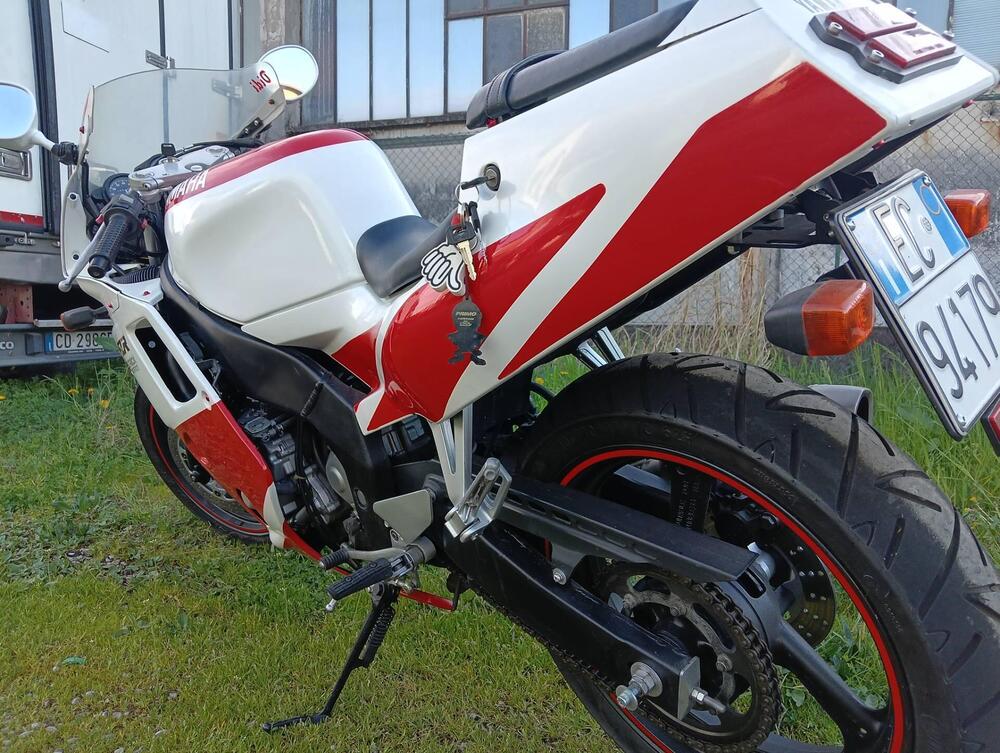 Yamaha FZR 250 R 3LN Deltabox Combination