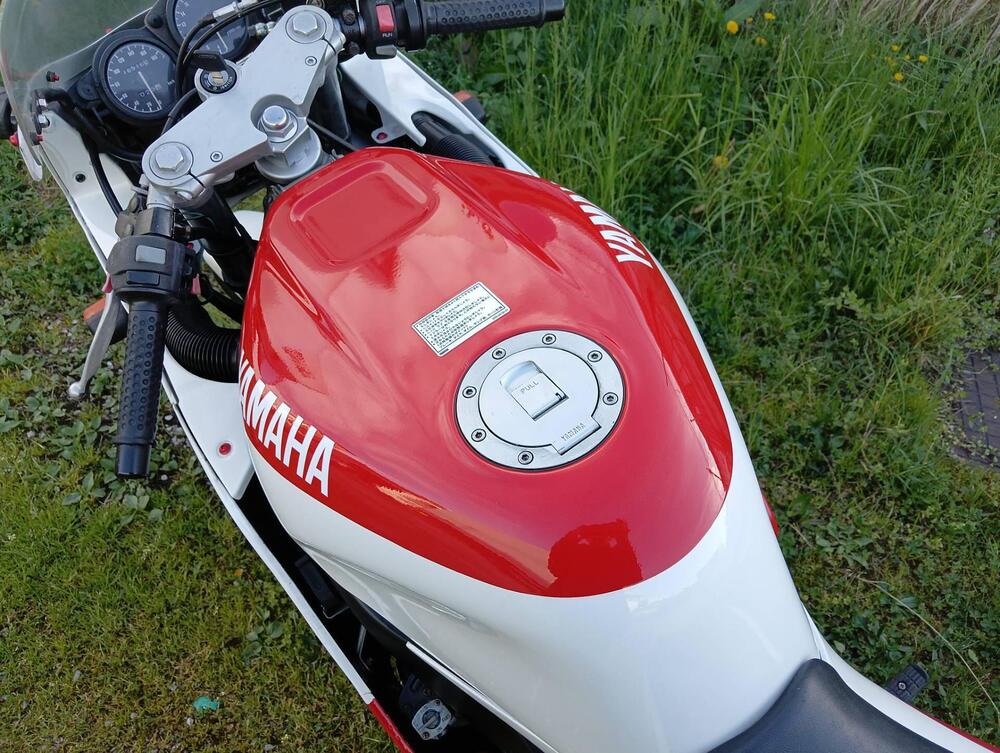 Yamaha FZR 250 R 3LN Deltabox Combination (7)