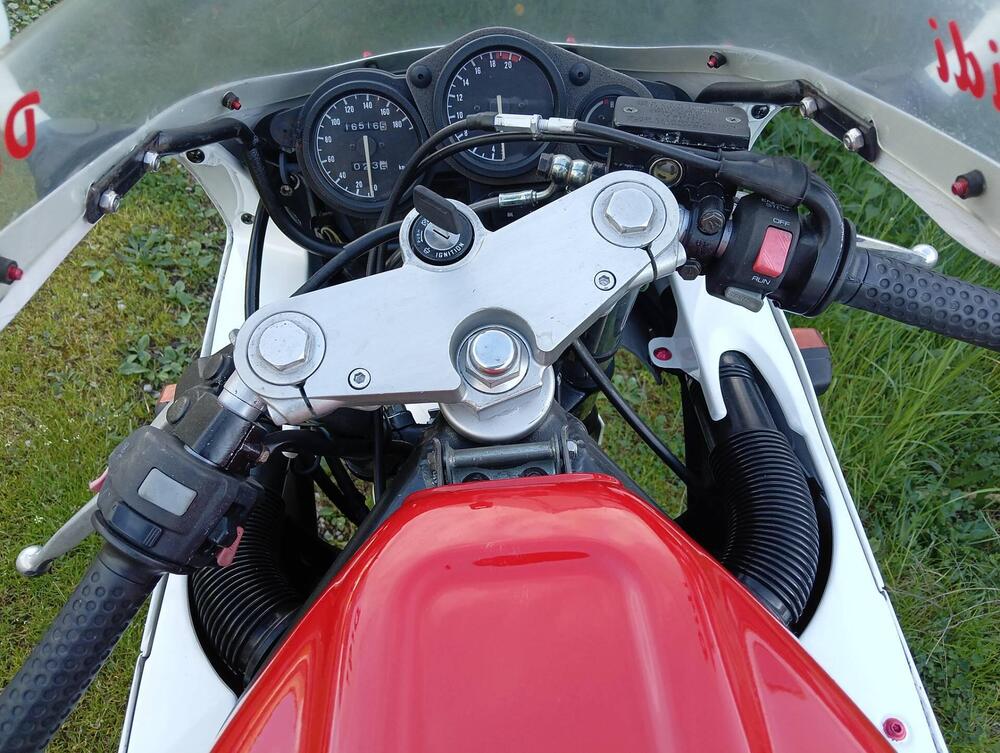 Yamaha FZR 250 R 3LN Deltabox Combination (9)