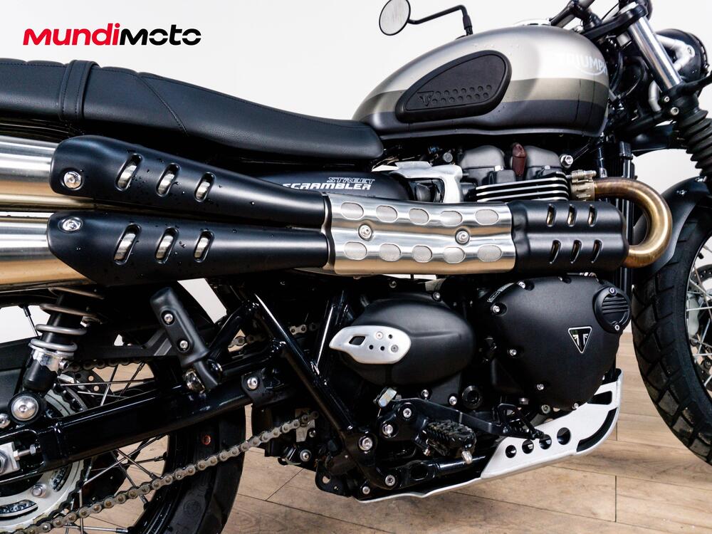 Triumph Street Scrambler 900 Sandstorm (2021 - 22) (4)