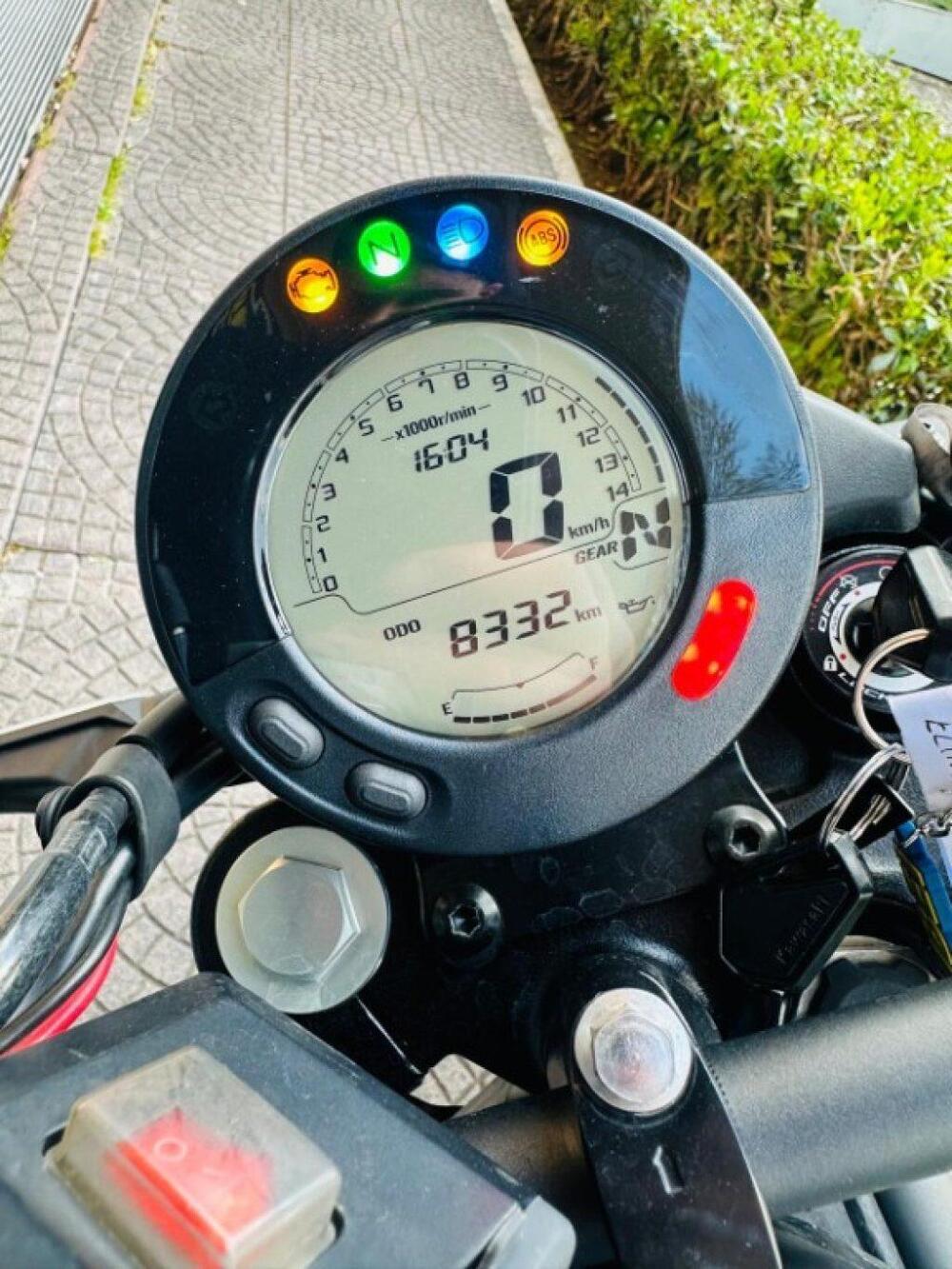 Kawasaki Eliminator 500 (2024 - 26) (8)