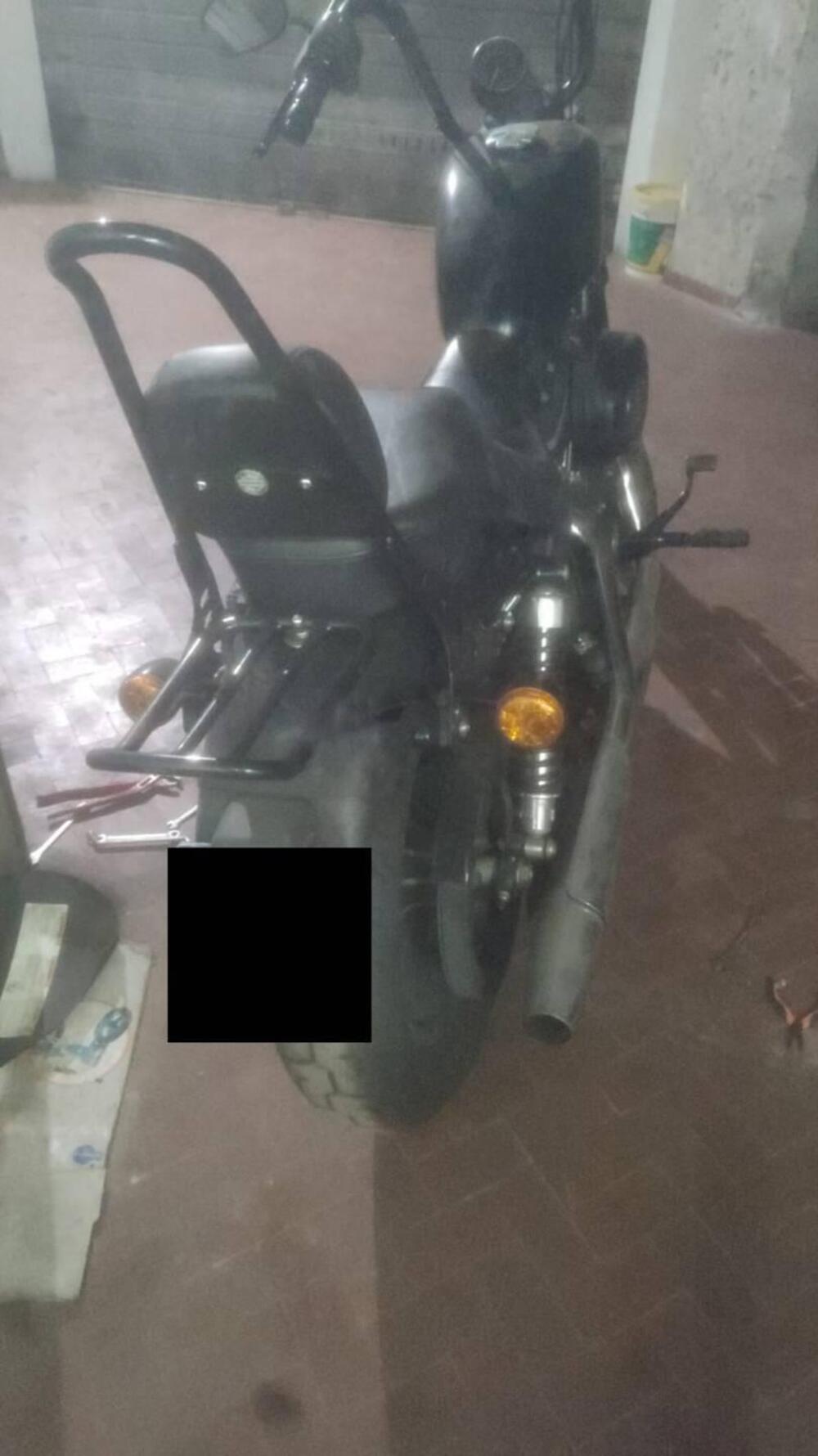 Harley-Davidson 883 Iron (2009 - 11) - XL 883N (3)