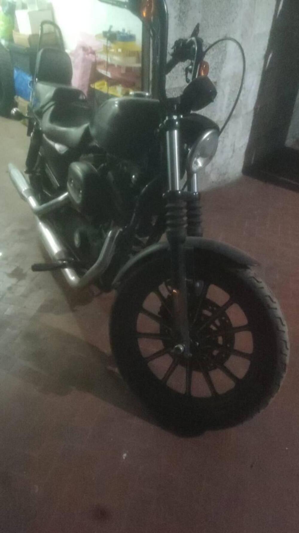 Harley-Davidson 883 Iron (2009 - 11) - XL 883N (5)