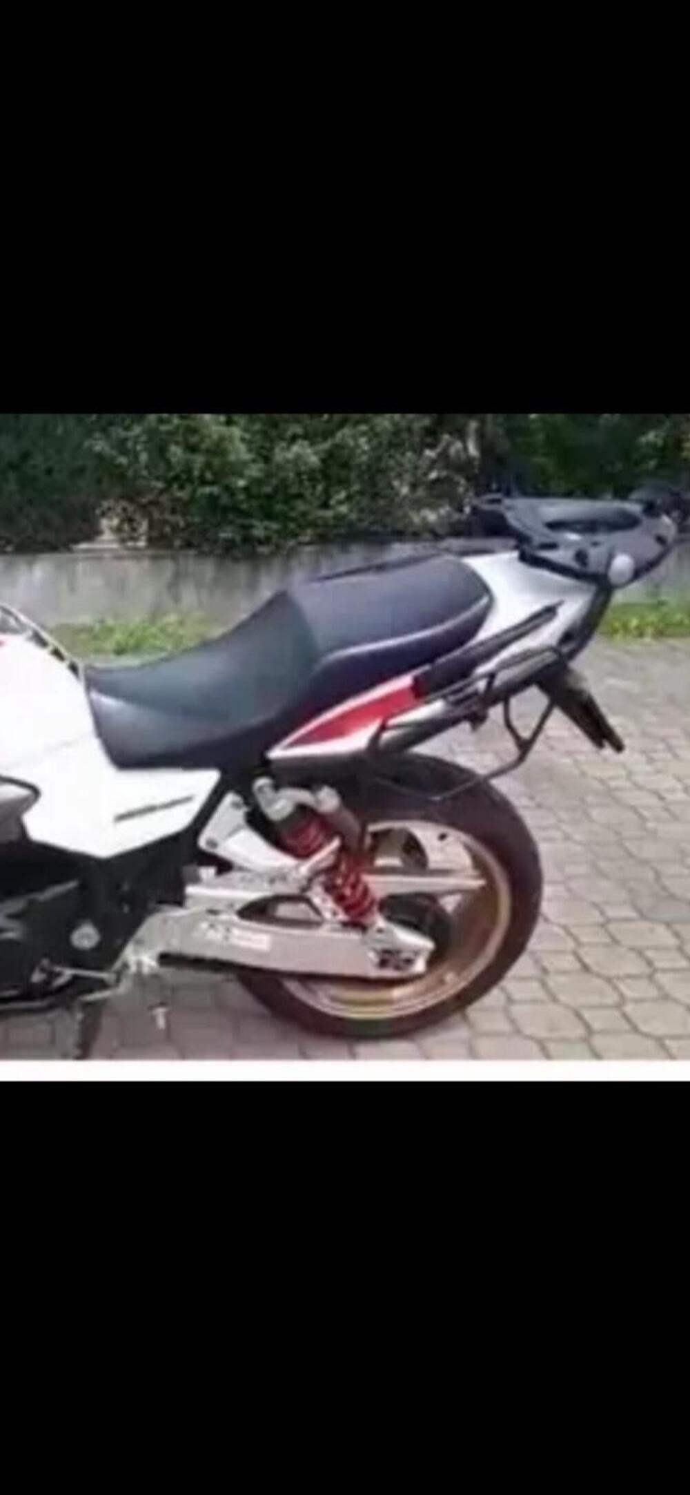 Honda CB 1300 S (2010 - 12) (4)