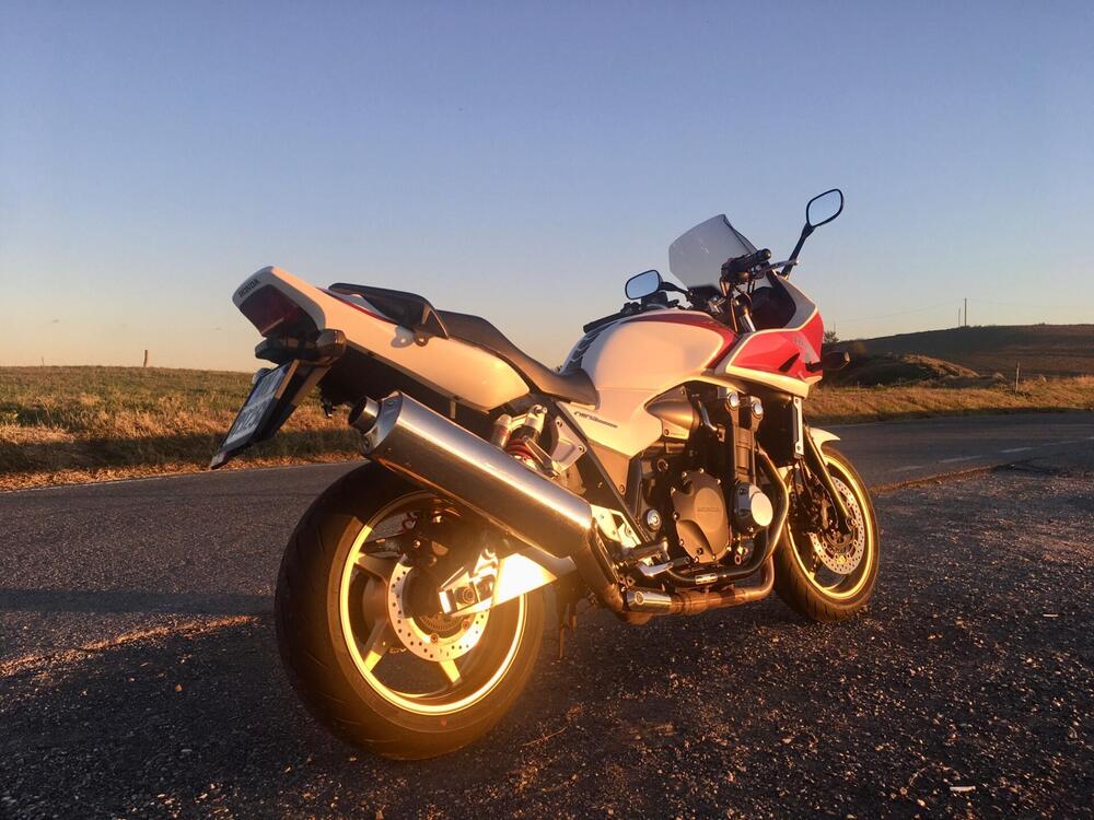 Honda CB 1300 S (2010 - 12) (7)