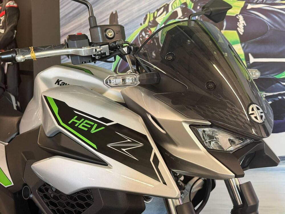Kawasaki Z7 Hybrid (2024 - 25) (8)