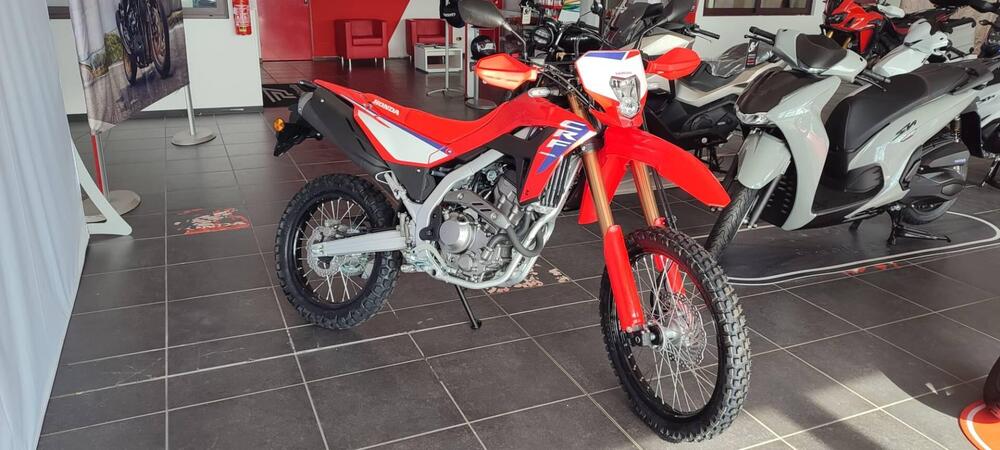 Honda CRF 300L (2025 - 26)