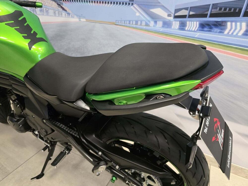 Kawasaki ER-6N ABS (2012 - 16) (10)