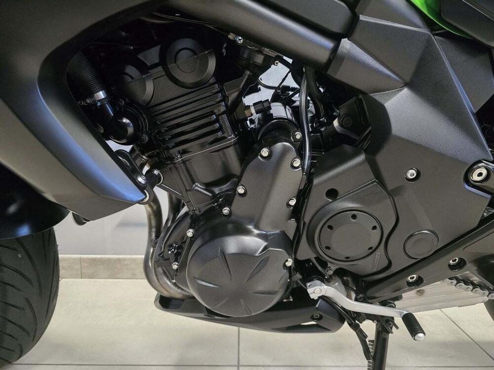 Kawasaki ER-6N ABS (2012 - 16) (11)