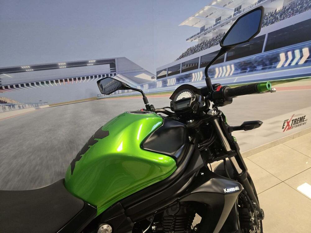 Kawasaki ER-6N ABS (2012 - 16) (20)