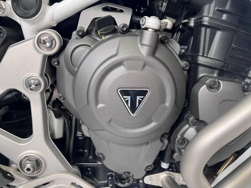 Triumph Tiger 1200 Rally Explorer (2022 - 23) (10)