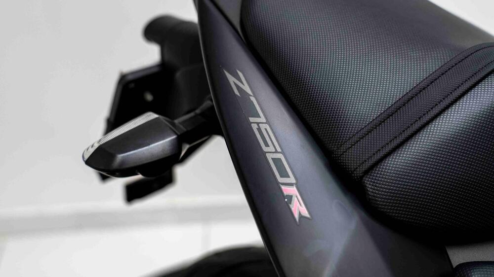 Kawasaki Z 750 R (2011 - 14) (11)