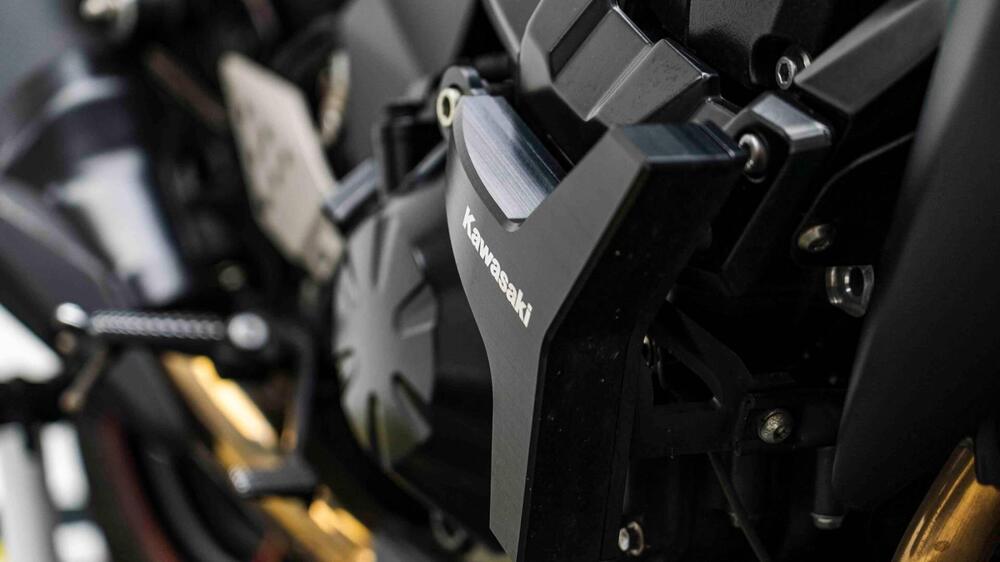 Kawasaki Z 750 R (2011 - 14) (19)