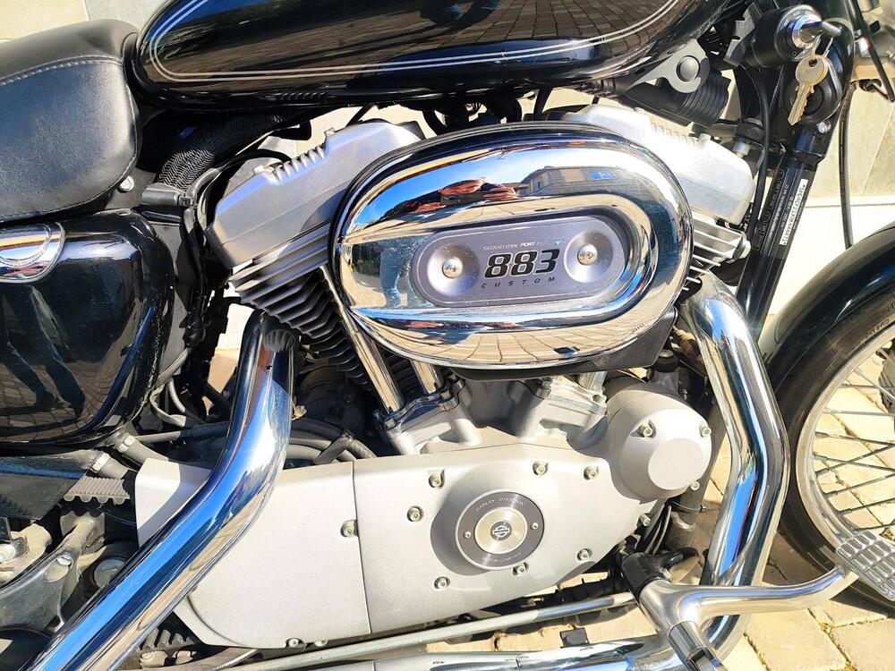 Harley-Davidson 883 Custom (2008 - 12) - XL 883C (6)