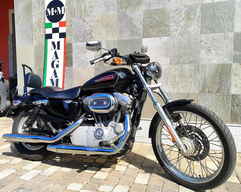 Harley-Davidson 883 Custom (2008 - 12) - XL 883C (4)