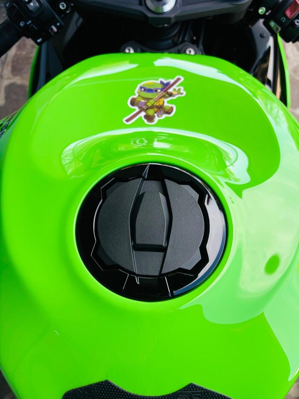 Kawasaki Ninja 636 ZX-6R (2024 - 26) (13)