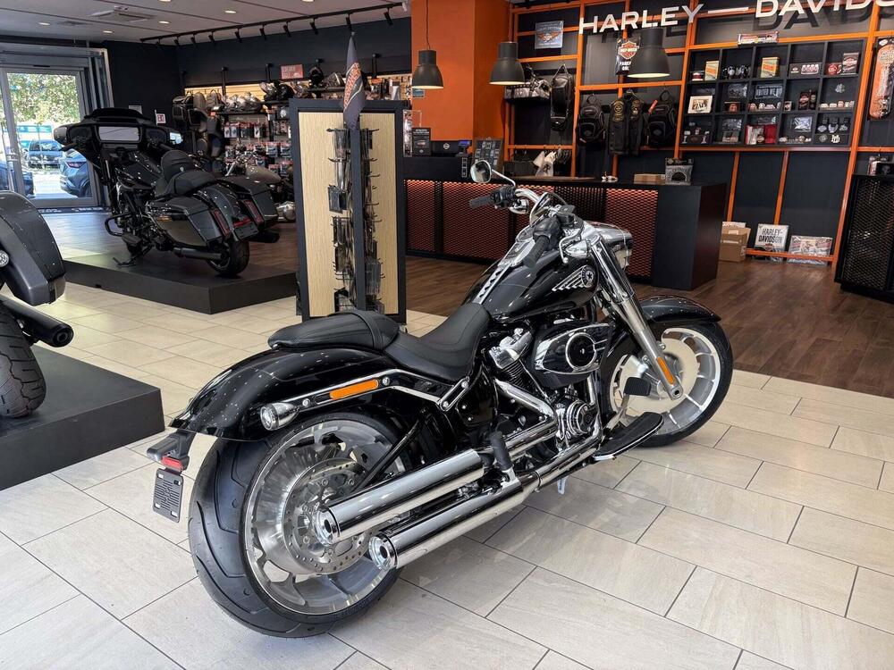 Harley-Davidson Fat Boy 117 (2025 - 26) (3)