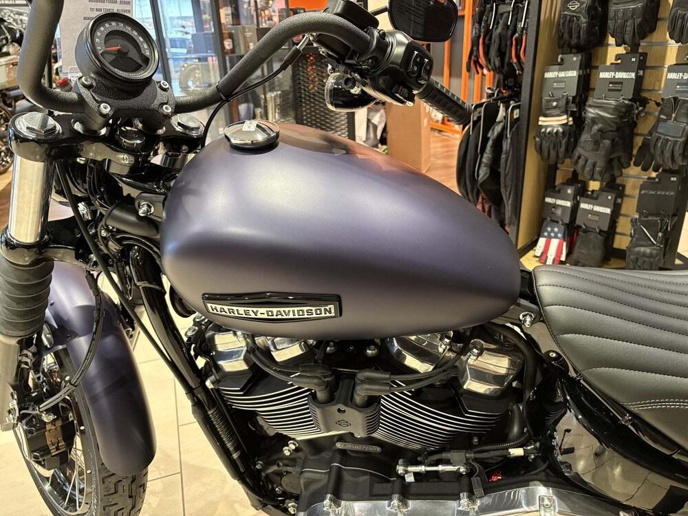 Harley-Davidson Street Bob 117 (2025 - 26) (3)