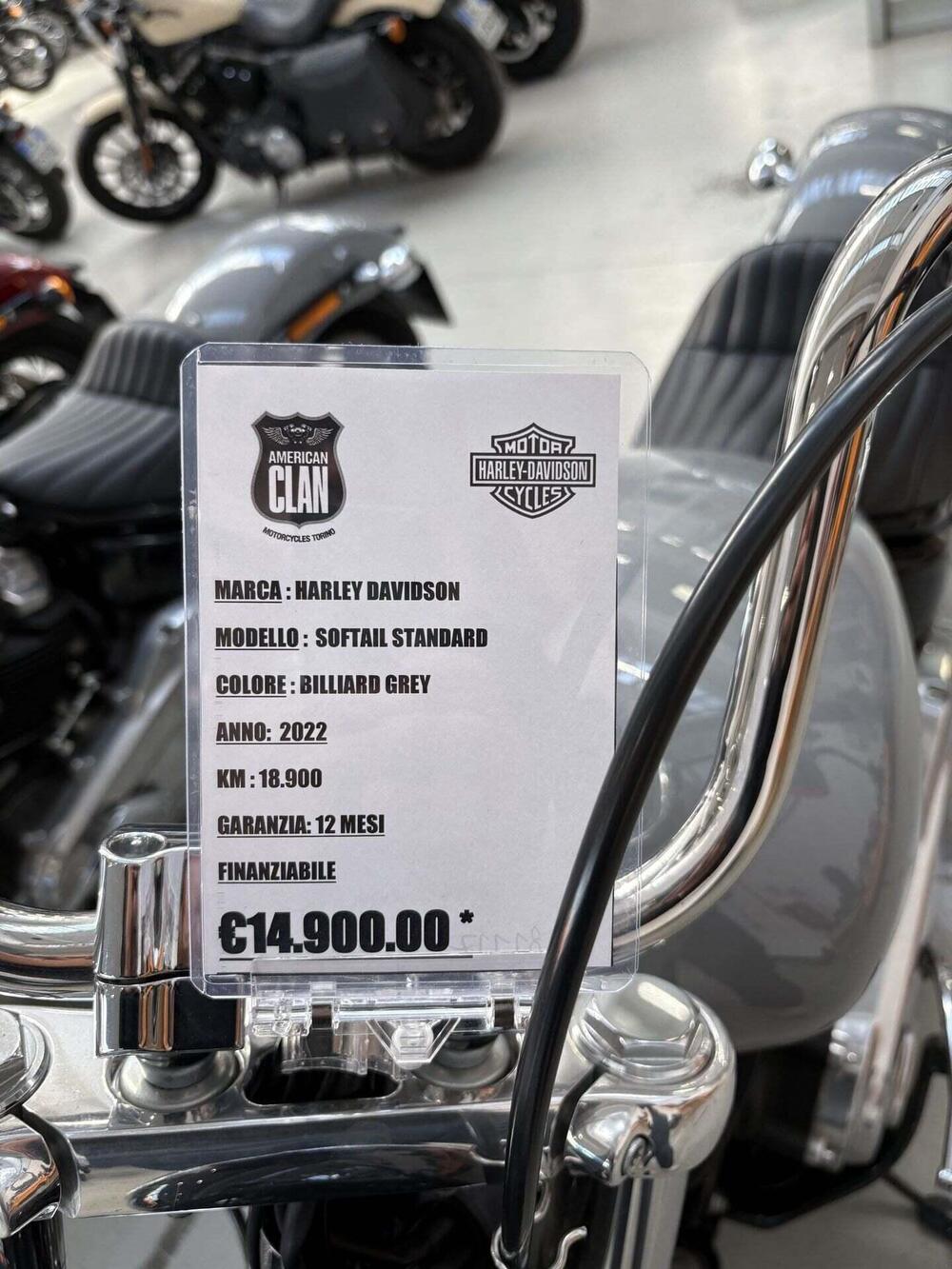 Harley-Davidson Softail Standard (2020) - FXST (2)