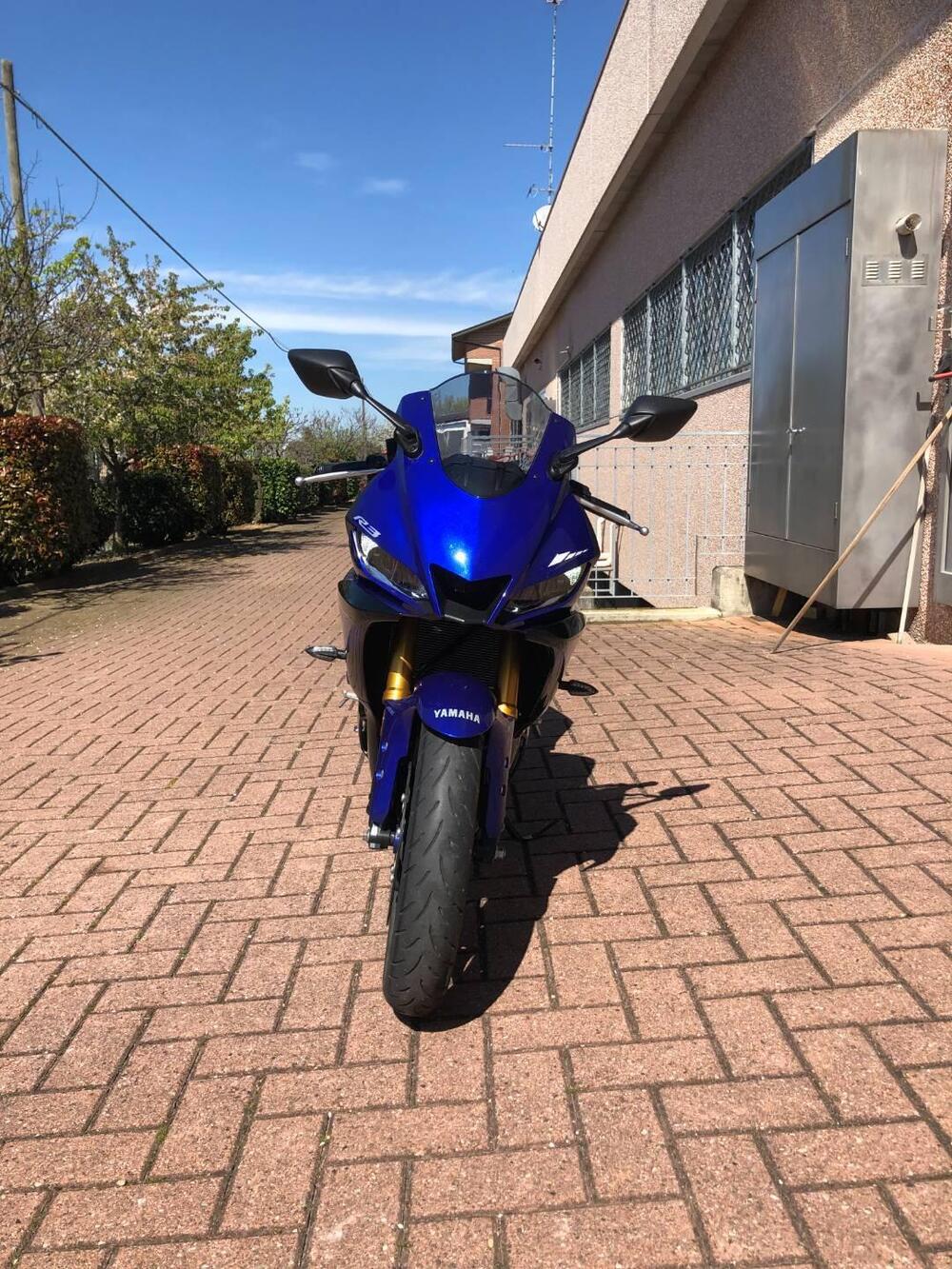 Yamaha YZF R3 (2019 - 20) (2)