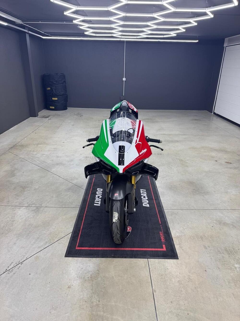 Ducati Panigale V4 Tricolore (2025 - 26) (3)