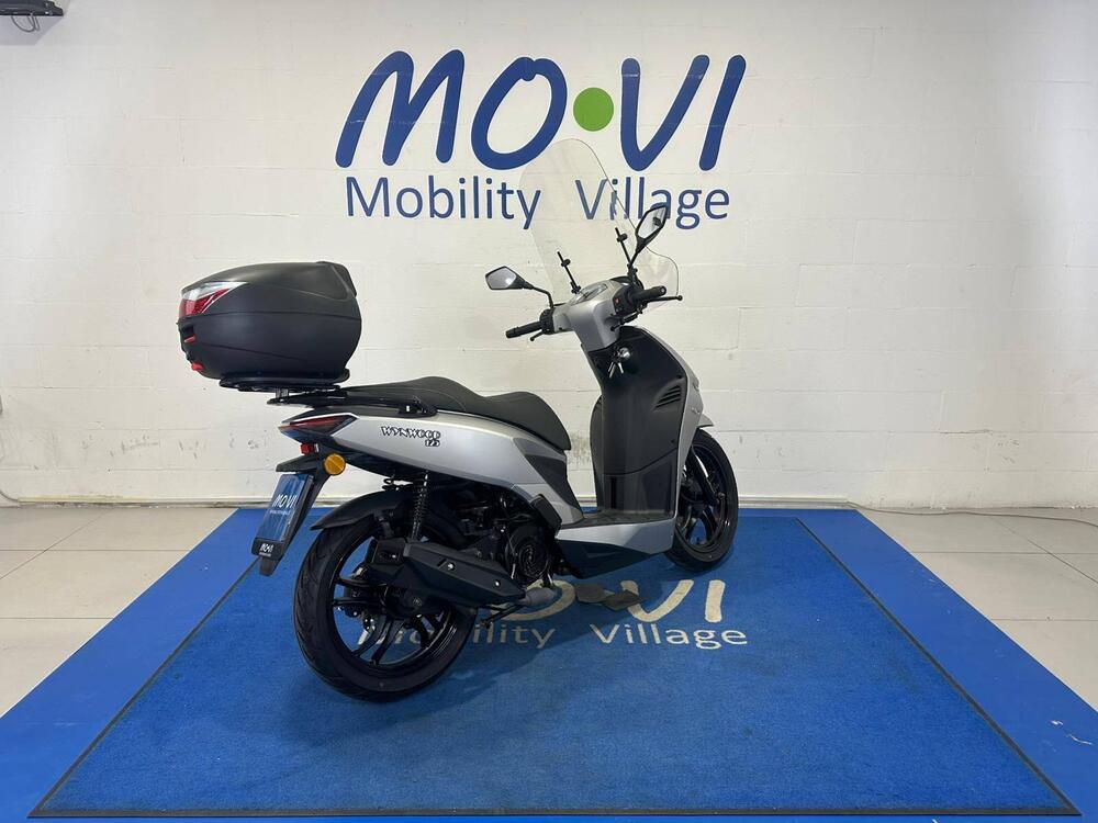 Um Italia Wynwood 125 (2025 - 26) (2)