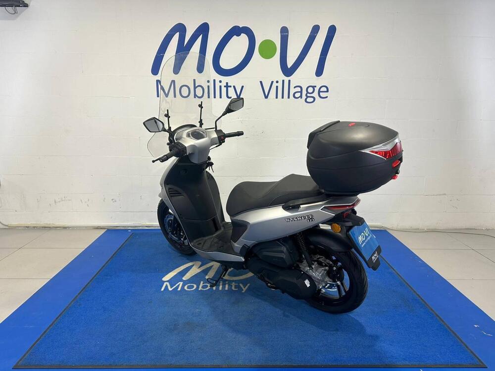 Um Italia Wynwood 125 (2025 - 26) (4)