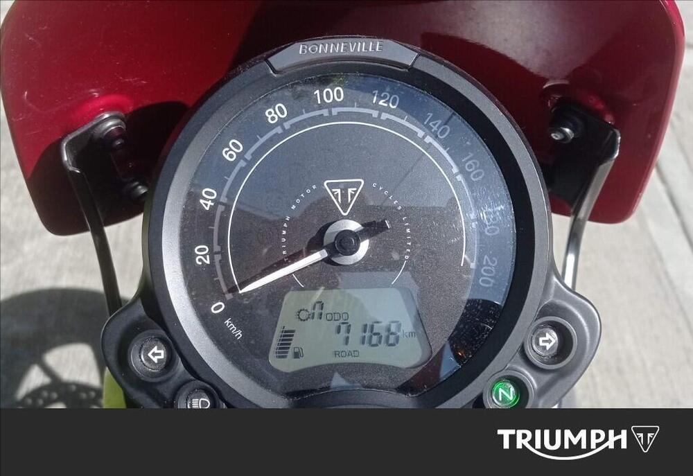 Triumph Speed Twin 900 Chrome Edition (2023) (6)