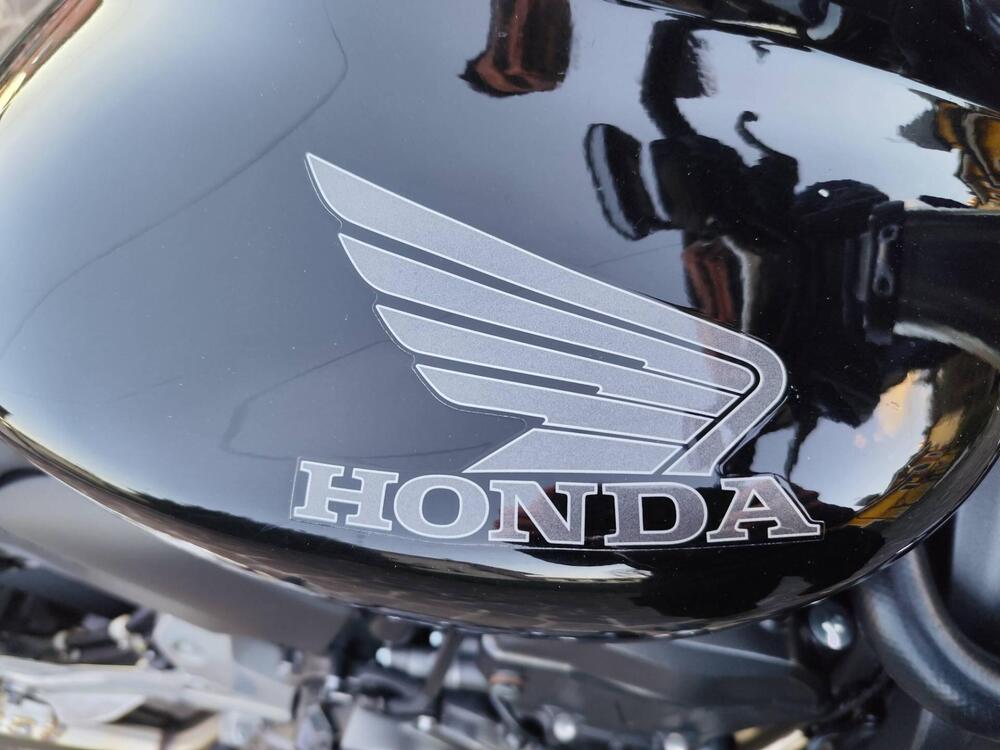 Honda Hornet 600 (2011 - 13) (10)