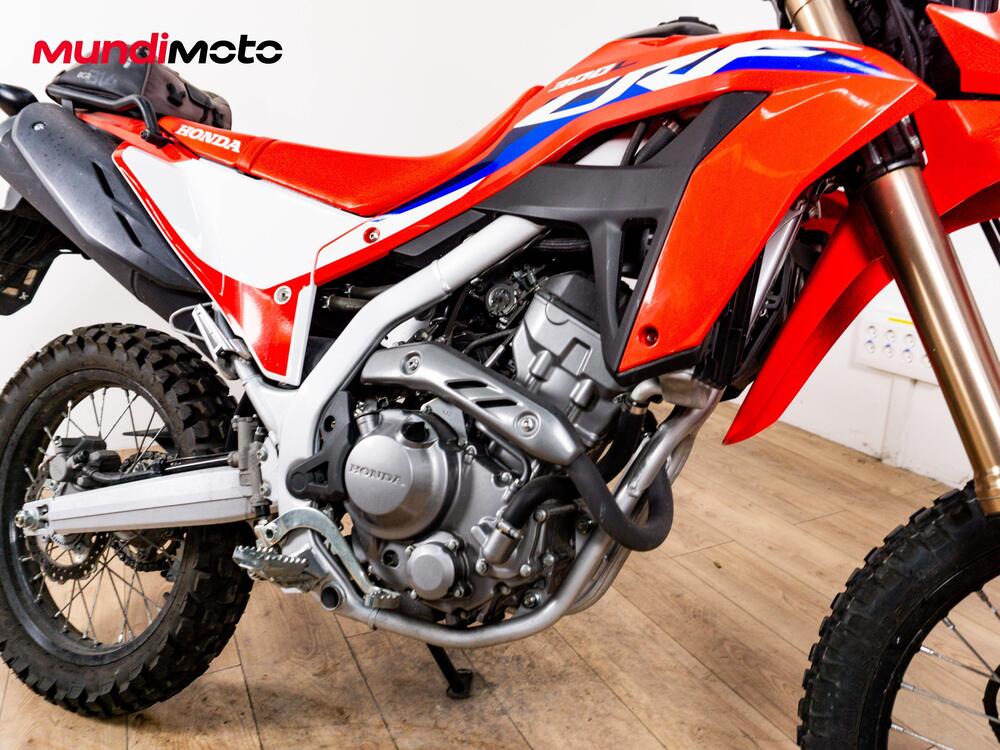 Honda CRF 300 Rally (2021 - 24) (5)
