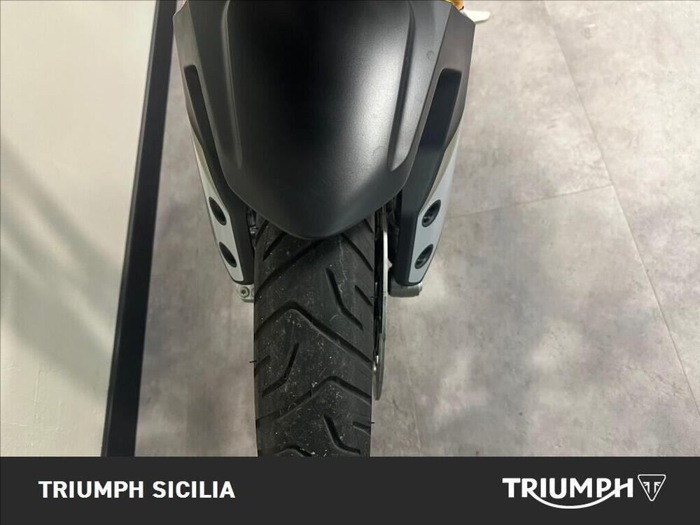 Triumph Tiger 900 Rally Pro (2020 - 23) (10)
