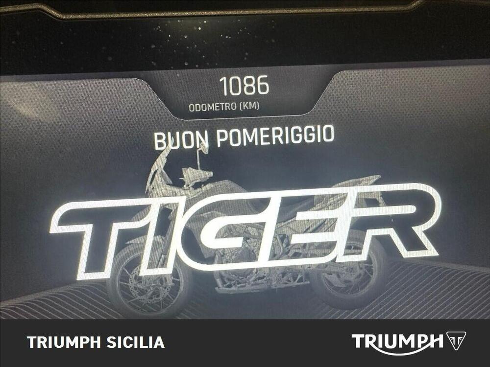 Triumph Tiger 900 Rally Pro (2020 - 23) (15)