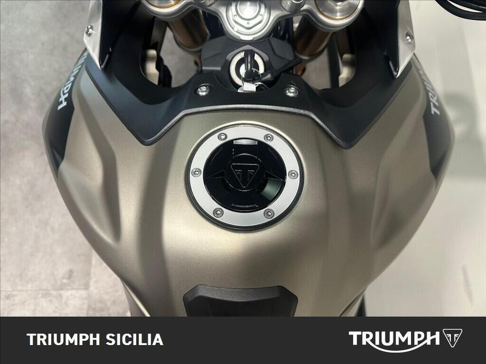 Triumph Tiger 900 Rally Pro (2020 - 23) (12)