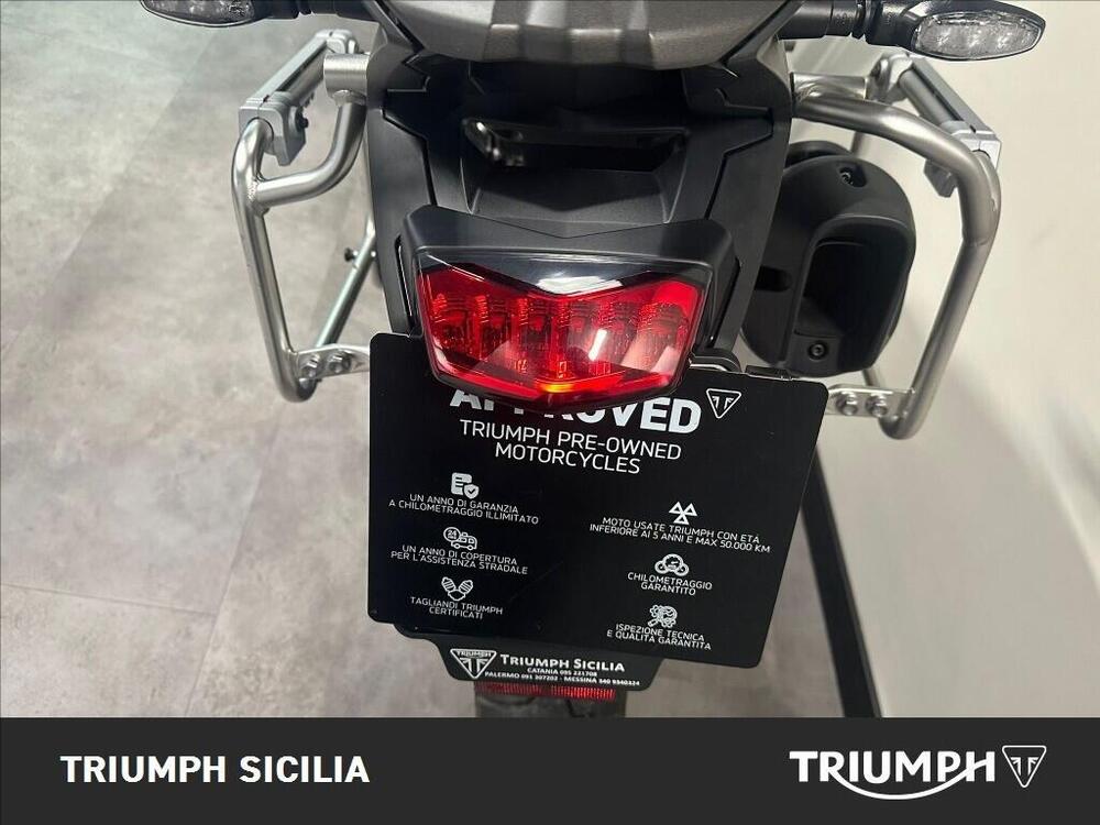 Triumph Tiger 900 Rally Pro (2020 - 23) (16)