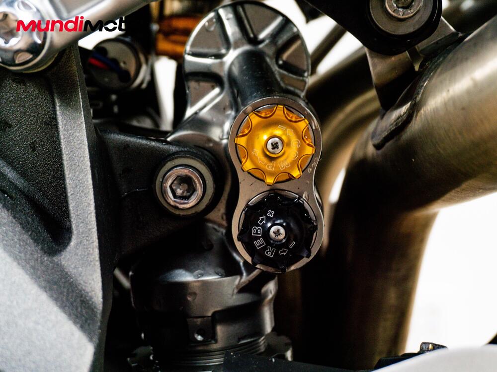 Triumph Speed Triple 1050 RS (2018 - 20) (18)