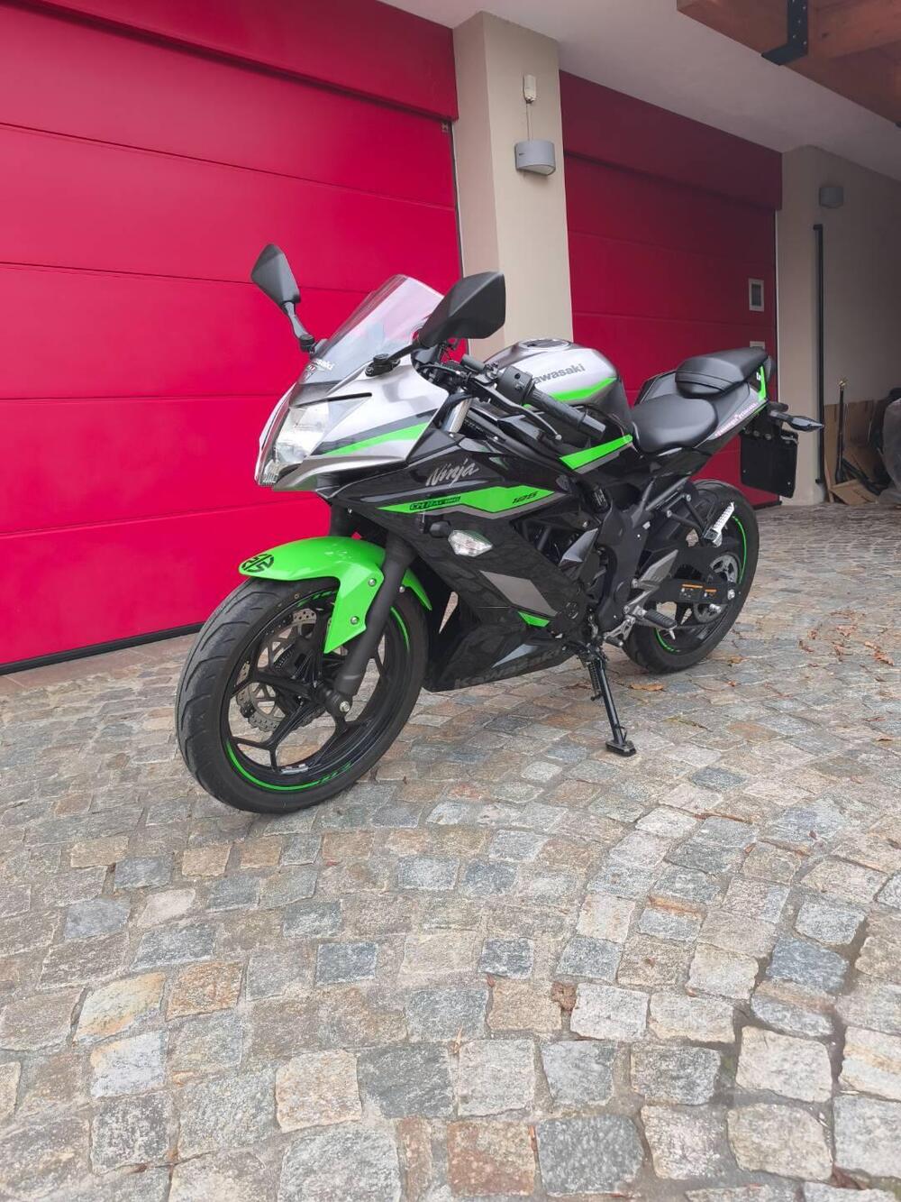 Kawasaki Ninja 125 (2021 - 24)