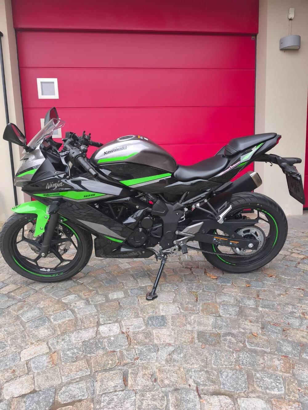 Kawasaki Ninja 125 (2021 - 24) (2)